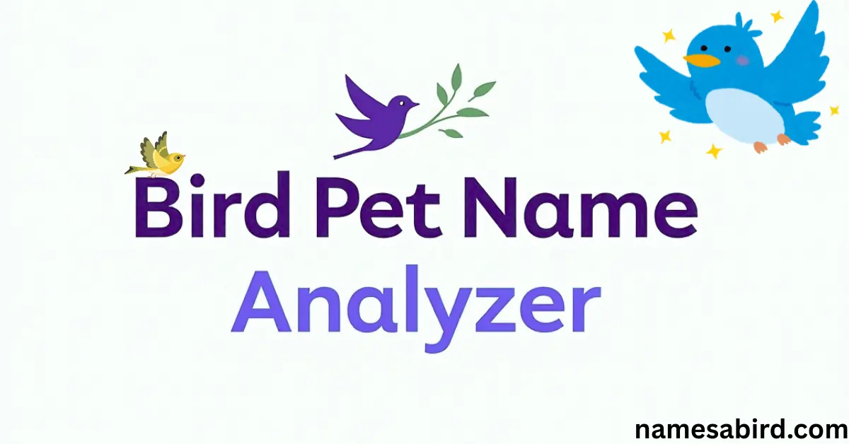 Bird Pet Name Analyzer