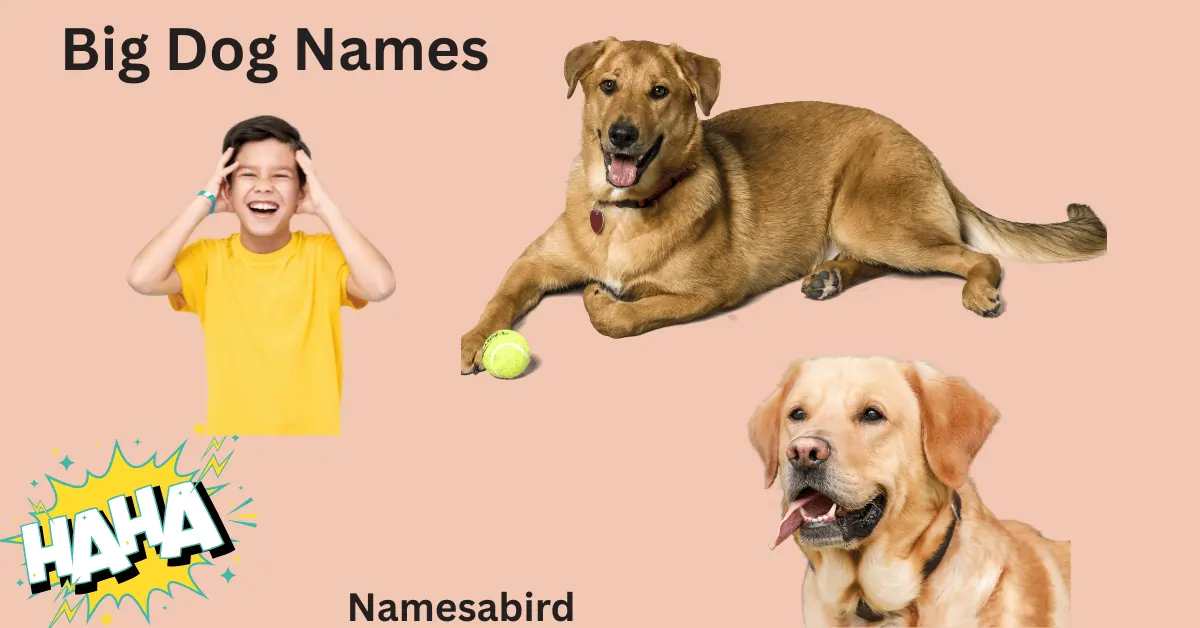 200+ Funny Big Dog Names That’ll Make You Laugh Out Loud 