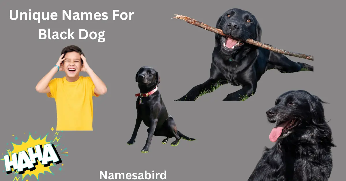 250+ Unique Names for Black Dog, powerful meanings, Male & Female Names