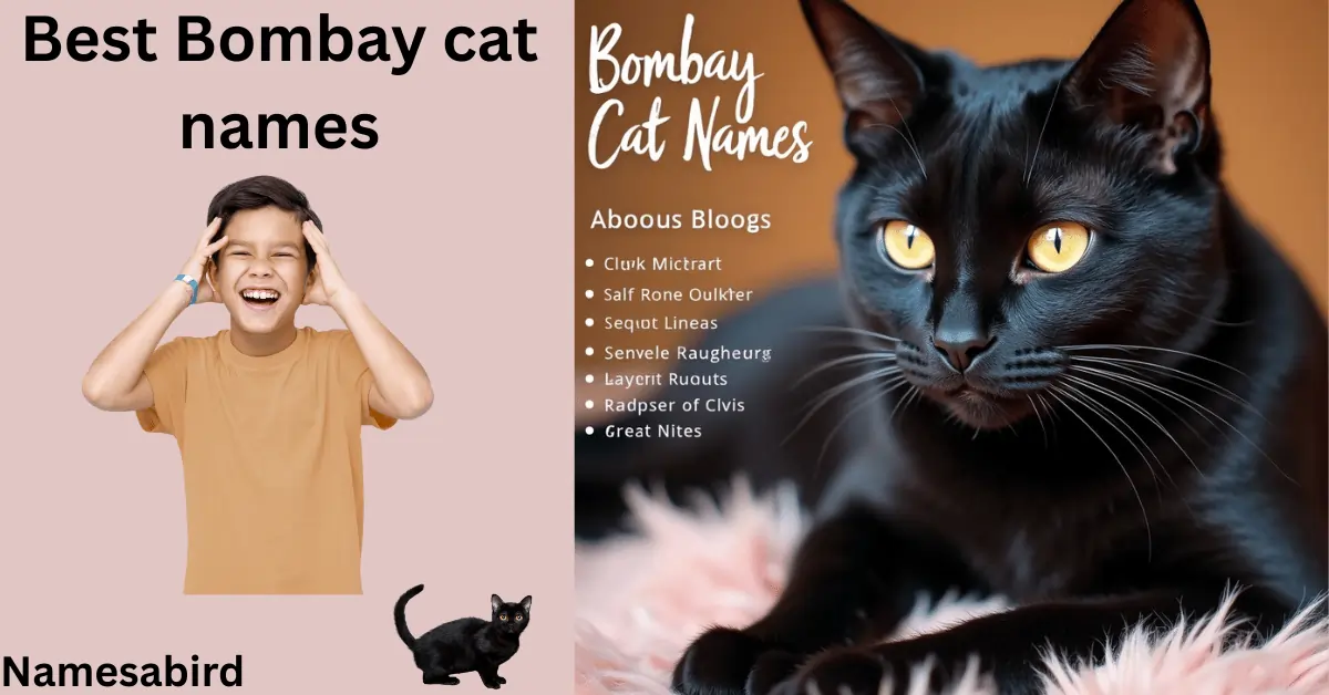 Bombay Cat Names