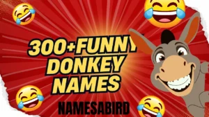 Funny Donkey Names