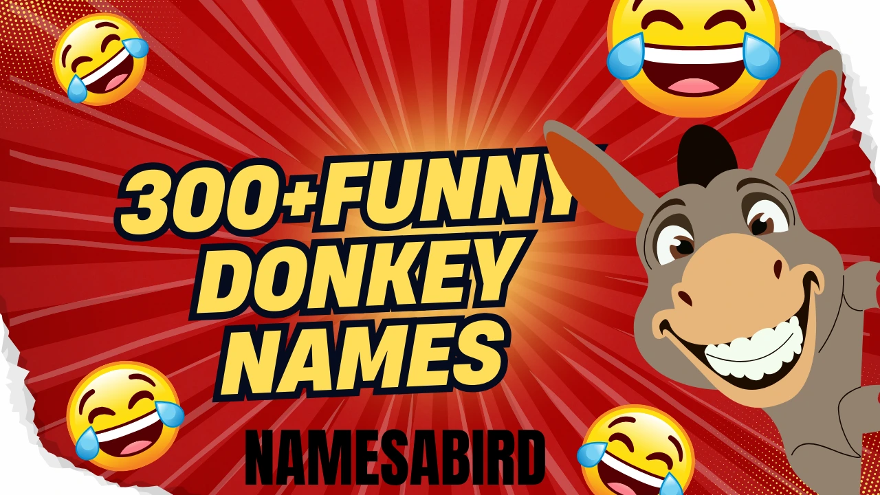 Funny Donkey Names