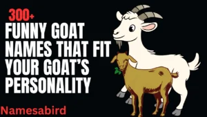 Funny Goat Names