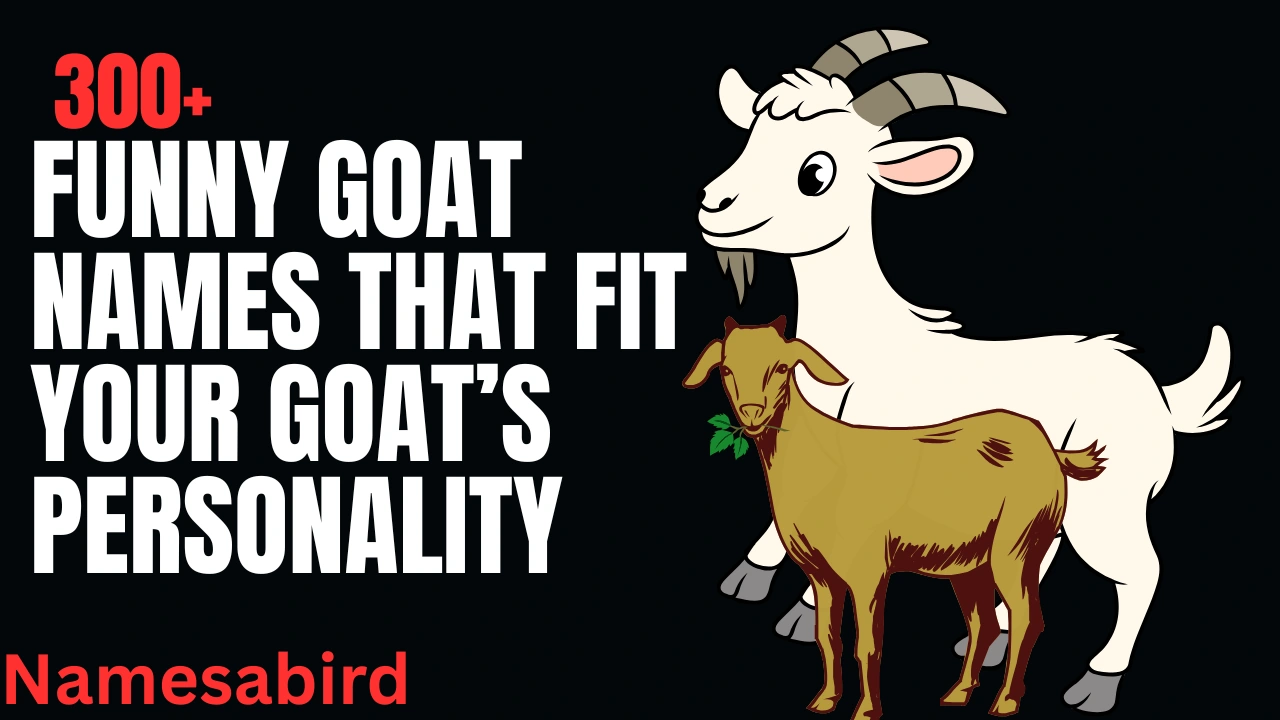 Funny Goat Names