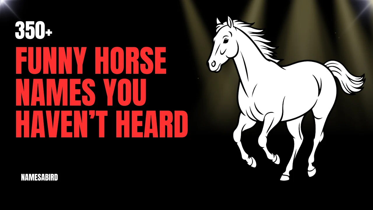 Funny Horse Names