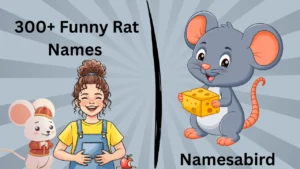 Funny Rat Names