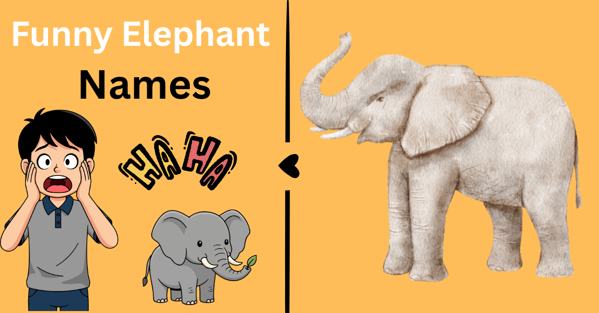 Funny Elephant Names