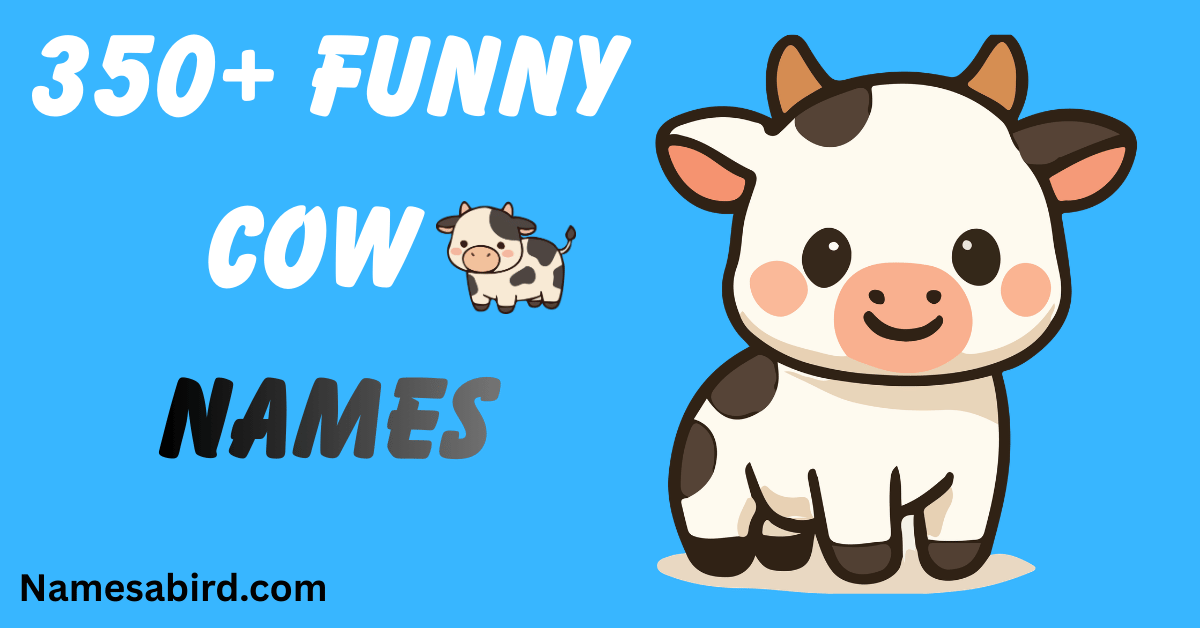 Funny Cow Names