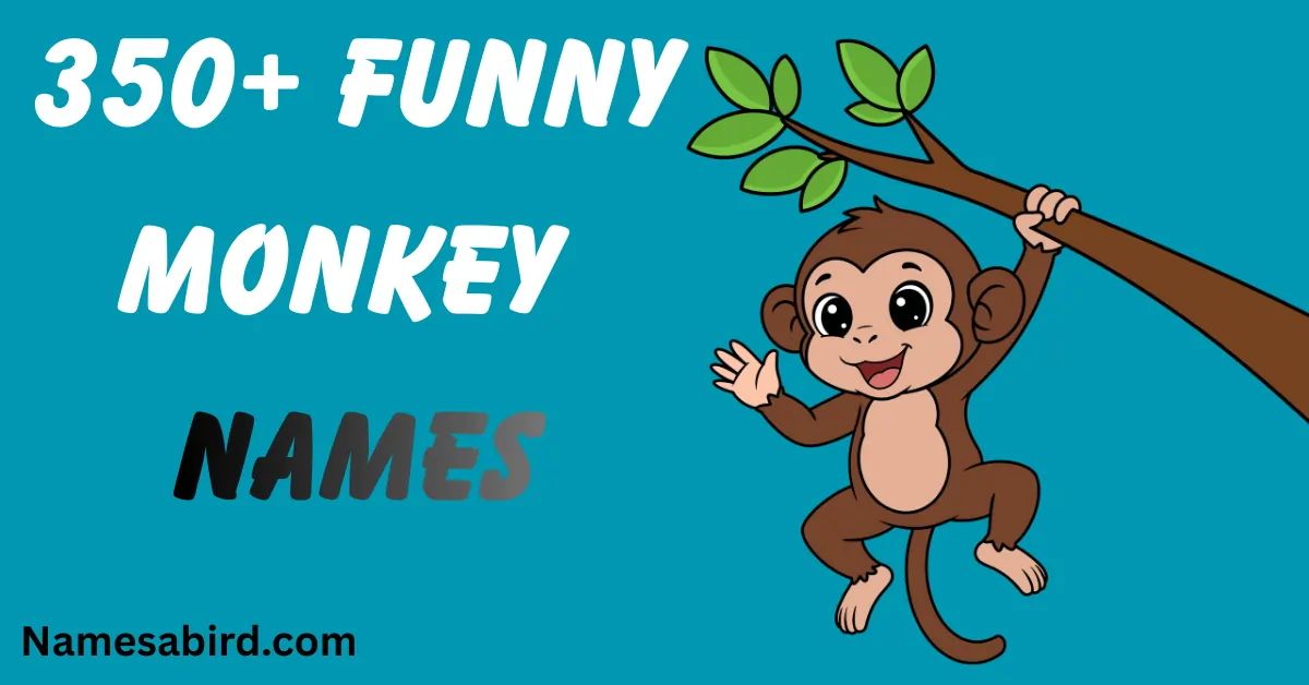 Funny Monkey Names