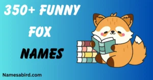 Funny Fox Names