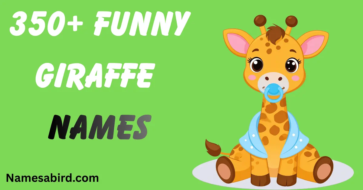 Funny giraffe Names
