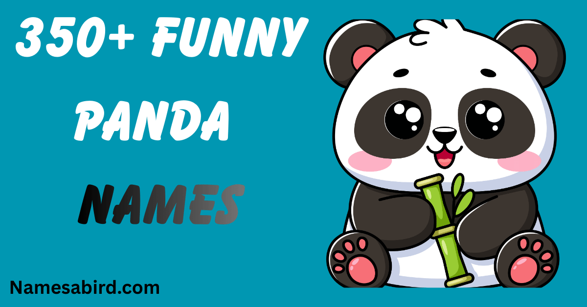 Funny Panda Names