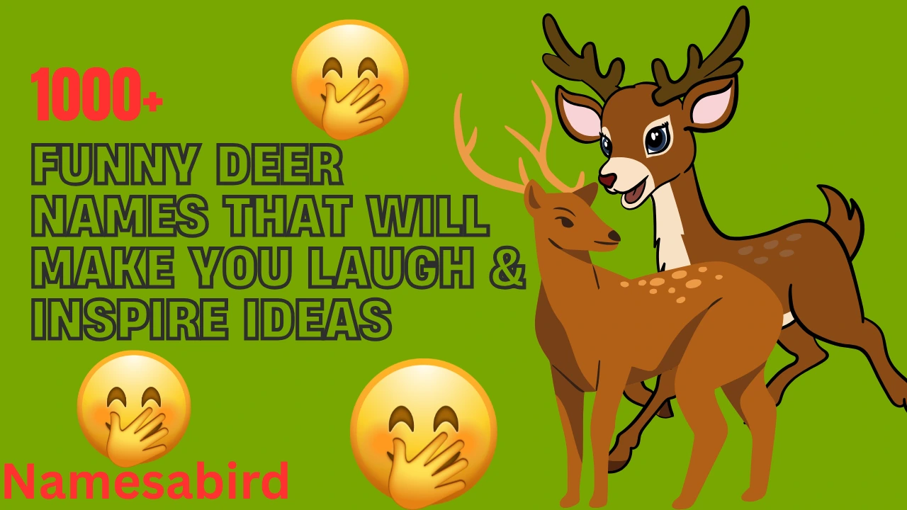 Funny Deer Names