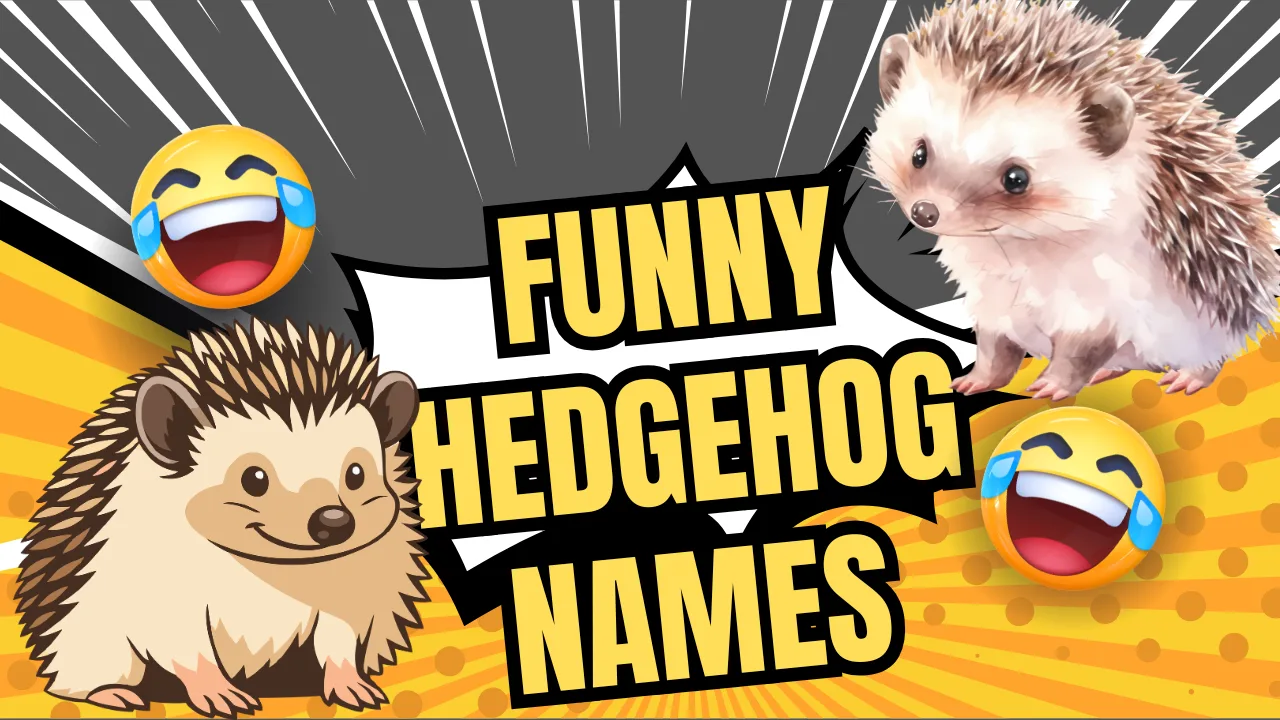 Funny Hedgehog Names