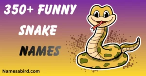 funny snake names