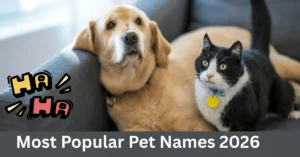 Most Popular Pet Names 2026